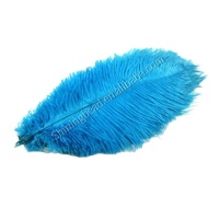 Plumes d'autruche naturelles lisses et moelleuses, blanches, teintées, de 40 à 80 cm, pour la décoration de carnaval, de danseuses et de fêtes - Vente en gros