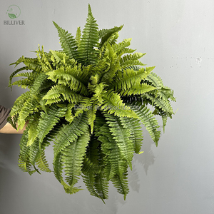 Simulation de la fougère de Boston Bush herbe persane pour la décoration de la maison plante de fougère de vigne Faux verdure laisser la plante <span class=keywords><strong>feuille</strong></span> artificielle <span class=keywords><strong>lierre</strong></span> grand - Product Image 2