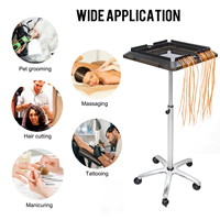 Chariot de Salon Polyvalent pour Extensions de Cheveux, Tressage et Coiffure - Design Moderne Facilement Déplaçable pour Salon et Usage Domestique