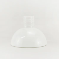 Modèle Unique Diffuseur d'Huiles Essentielles Aromathérapie Bouteille Vide Verre Roseau Diffuseur de Parfum Bouteille en Verre Bouchon en Bois Montage