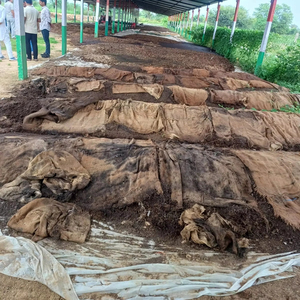 ผู้ส่งออกกระต่ายอินเดียสุดฮิต จำหน่ายปุ๋ยอินทรีย์จากมูลกระต่าย 1 กิโลกรัม คุณภาพสูง อายุการเก็บรักษา 2 ปี - Product Image 5