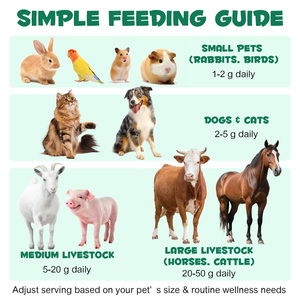 Carbón Activado en Polvo de Grado Alimenticio Oimmal para Perros, Gatos <span class=keywords><strong>y</strong></span> Todas las Mascotas, Carbón para Perros, Envenenamiento, Salud Digestiva - Product Image 2