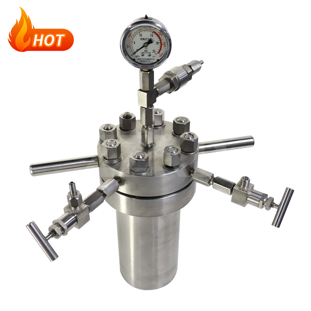 High Temperature Coated Hydrothermal Reactor