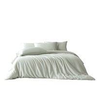 Ensemble de literie 4 pièces en fibre de bambou, antibactérien, couleur unie, housse de couette de luxe, ensemble de draps, taies d'oreiller, ensemble de literie
