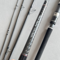 Canne à pêche Seehoo 5 sections 9'6 Jig Max 100g 4.0 PE Poignée EVA Portable pour lancer à longue distance Cannes à pêche Voyage Jigging sur le rivage