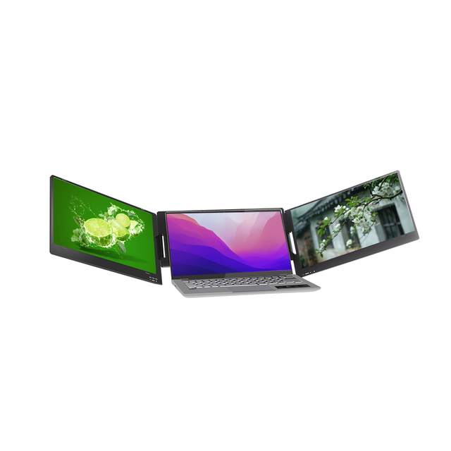 Split-Screen Portable Display for Financial Trading & Data Analysis