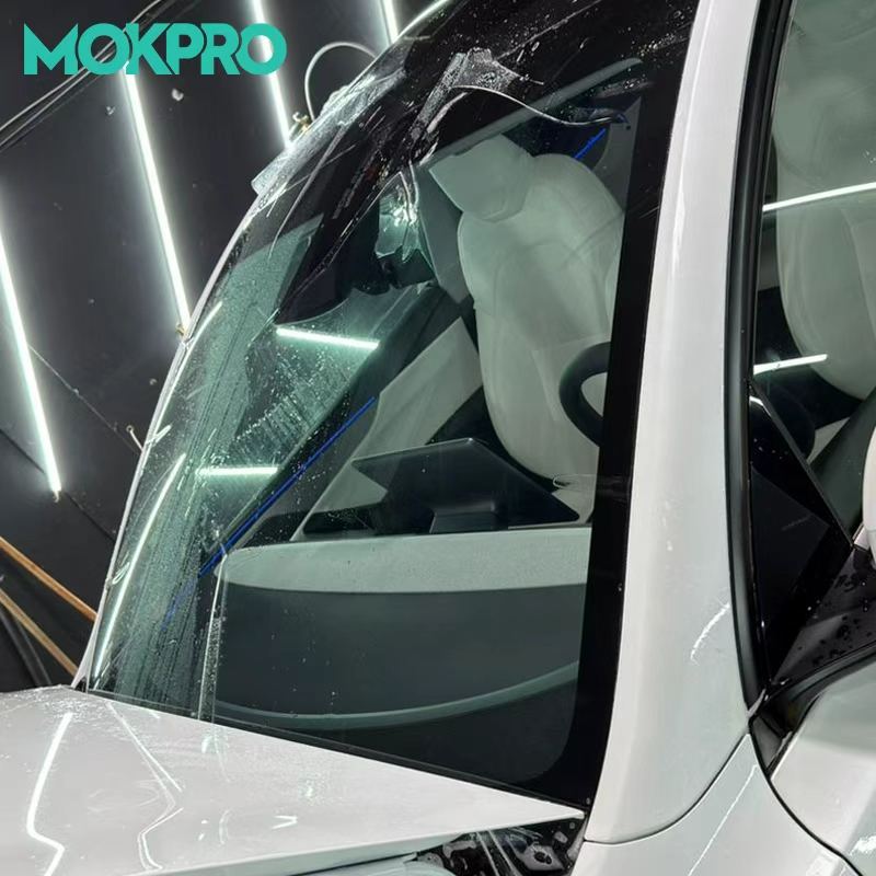 Windshield Protection Film