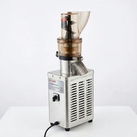 Verticale commerciële slowjuicer, koudgeperste sapcentrifuge, hoge sapopbrengst, sinaasappel, appel, groente sapcentrifuge