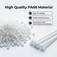 Attaches-câbles autobloquants en nylon 66 résistants aux UV et anti-âge pour protection solaire extérieure, résistants aux intempéries, pour usage en jardin, 2*100mm pour CE