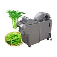 Volledig Roestvrijstalen Groentesnijmachine Aardappelgroente-En Fruitsnijmachine Groentesnij-En Snijmachine