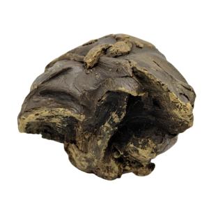 Meilleur <span class=keywords><strong>prix</strong></span> pour <span class=keywords><strong>la</strong></span> vente <span class=keywords><strong>de</strong></span> produits apicoles <span class=keywords><strong>de</strong></span> haute qualité : blocs <span class=keywords><strong>de</strong></span> <span class=keywords><strong>propolis</strong></span> brune, <span class=keywords><strong>propolis</strong></span> <span class=keywords><strong>brute</strong></span> en vrac fournie directement par l'usine, emballée en sacs. - Product Image 2