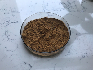 Insen en iyi fiyat satış kikrik asit ekinezya Purpurea özü - Product Image 5