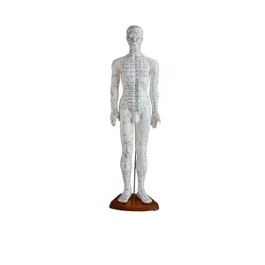 Modelo de acupuntura de cuerpo humano masculino de 50cm, aparato de enseñanza, modelo de meridianos, aparatos de Educación Médica para enseñanza de Medicina China