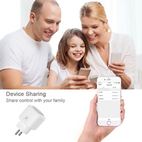 Développement complet clé en main personnalisé prise intérieure prise intelligente WiFi avec télécommande APP compatible avec les systèmes vocaux