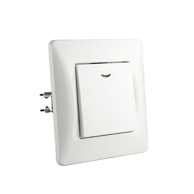 10 Year Warranty EU Standard Wall Light Electrical Single Pole Switch Socket 10A IP21 Protection