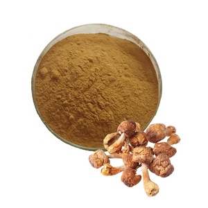 Extracto de <span class=keywords><strong>seta</strong></span> de <span class=keywords><strong>Agaricus</strong></span> Blazei, polvo de micelio Natural puro/extracto de <span class=keywords><strong>Agaricus</strong></span> Blazei - Product Image 1