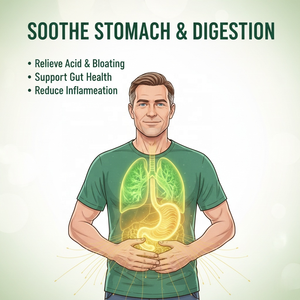 Gouttes de feuilles de molène (60 ml) pour la détoxification pulmonaire, le soutien immunitaire respiratoire et la santé digestive des adultes - Product Image 4