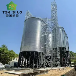 Silos en acier de grain de fond de trémie de haute qualité de 60 degrés pour le stockage de céréales