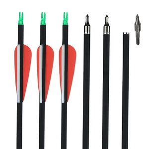 Pointes de flèches interchangeables pour la compétition, en carbone mixte, pour tir à l'arc - Product Image 1