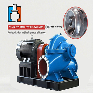 Bomba de Agua de Alta Caudal de Doble Succión y Un Solo Eje, Tipo Horizontal, de Ahorro de Energía, Nueva de Fábrica China 2025 - Product Image 2