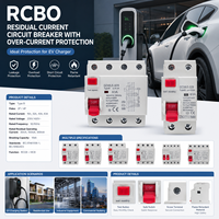 Disjoncteur différentiel de type B 32A 40A 63A 2P 4P 30MA 100MA, dispositif de protection contre les fuites à la terre AC/DC pour station de recharge de véhicules électriques
