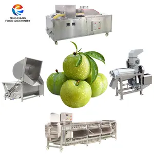 Prune Apricot Plum Cherry sorting coring washing juicing processing line machine peach core removing Juice Extractor