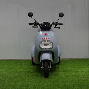 มอเตอร์ไซค์สามล้อแบบเปิดประทุนพร้อมเบรกเท้าสำหรับผู้โดยสาร  แบบ E-Trike - Product Image 1