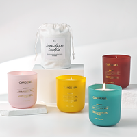 Benutzer definierte Luxus Aroma therapie Soja Duftglas Glas Kerze Home Decor Private Label Natürliches Pflanzen wachs Gel Paraffin Wachs Bulk