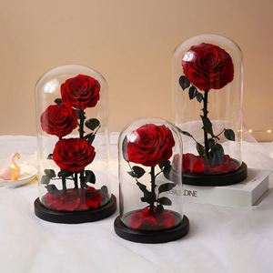 Lot de 3 roses éternelles rouges de luxe, préservées et séchées, sous cloche en verre - Product Image 5
