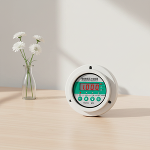 त्वरित डेटा अद्यतन टिकाऊ संरचना इलेक्ट्रॉनिक दबाव गेज औद्योगिक उपयोग डिजिटल दबाव गेज औद्योगिक उपयोग - Product Image 1