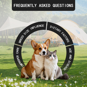 อาหารเสริมบำรุงต่อมทวารหนักสำหรับสุนัข |   ไฟเบอร์โปรไบโอติกแบบเคี้ยวเพื่อบรรเทาอาการต่อมและปรับสมดุลการย่อยอาหาร - Product Image 3