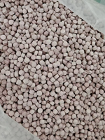 OEM ODM Offres Spéciales Capsules de griffes de chats à base de plantes chinoises Capsules d'extrait de griffes de chats biologiques Soutien immunitaire et articulaire