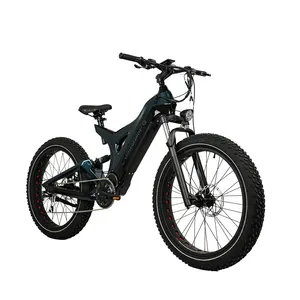 새로운 도착 전자 fatbike 48v ebike fatbike 750w 지방 전기 산악 자전거 중국