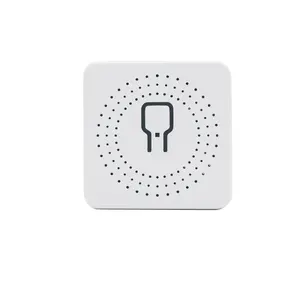 16A Mini Wifi DIY Module d'interrupteurs de lumière Contrôle bidirectionnel Fonctionne avec Tuya Smart Life Alexa Alice Support à domicile Contrôle du téléphone intelligent