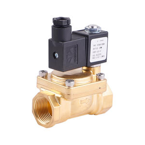 Vanne solénoïde à diaphragme à commande pilote à 2 positions et 2 voies Yongchuang YC3000 - Product Image 1