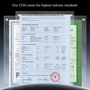 OEM ODM 300-500Da Polvo de Péptidos de Nuez (Juglans <span class=keywords><strong>Regia</strong></span>) Nootrópicos Neuroprotectores Hidrolizados Solubles en Agua Grado Alimenticio Suministro a Granel - Product Image 3