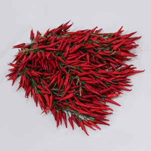 Guirnaldas de chiles artificiales, flores de seda, decoraciones rojas secas para exteriores, accesorios para restaurantes rústicos - Product Image 4