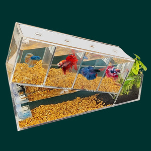 Rak <span class=keywords><strong>Display</strong></span> Ikan Betta Akrilik Unik dengan Beberapa Sekat 4 Grid, Plastik Anti Pecah, Akuarium Beta dengan Pompa - Product Image 5