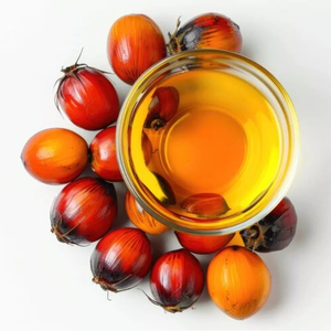 Prix de gros Huile de palme AGRIMAX 99,9 % pure, de haute qualité, faite à la main, naturelle, en vrac, de qualité alimentaire, fractionnée, d'origine américaine - Product Image 1