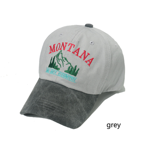 Nouveau <span class=keywords><strong>printemps</strong></span>/été chapeau <span class=keywords><strong>de</strong></span> Baseball extérieur lavé et vieux Vintage <span class=keywords><strong>montagne</strong></span> lettre brodé canard langue chapeau pour hommes - Product Image 3