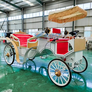 Carruaje Turístico Eléctrico de Lujo para Bodas en Victoria, Vehículos Nuevos de Henan - Product Image 2