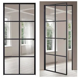 French Style Interior/Exterior Swing Door Modern Glass Steel Doors for Home