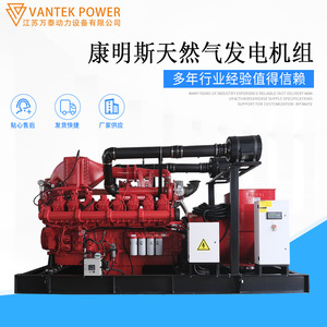 Grupo Electrógeno de Gas Natural Jiangsu Wantai TPD1000C5 de 1000 Kw, 400V, Certificado ISO9001 - Product Image 4