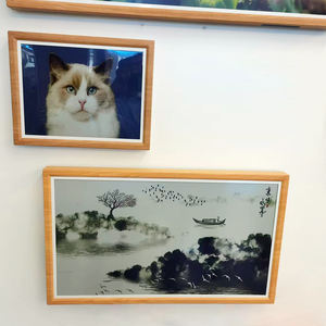 E ink fullsize 25 pouces e-ink display Large Eink Epaper Color E-Ink display e -- ink-touch-display Digital Photo Frame - Product Image 1