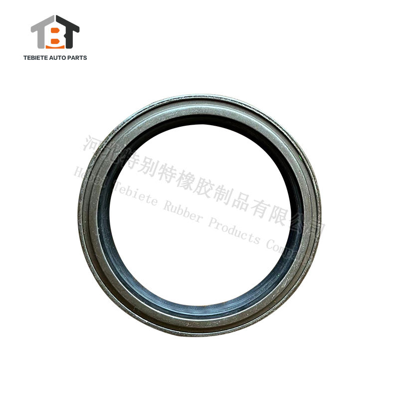 80*100*13/15 1335243 Iron Surface +ACM Material Automotive Parts Oil ...