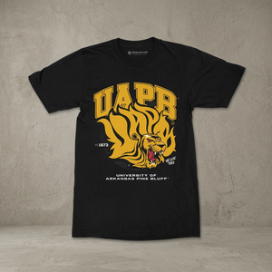 เสื้อยืดมหาวิทยาลัยอาร์คันซอ ไพน์ บลัฟฟ์ UAPB ผ้าฝ้ายเนื้อแน่น ระบายอากาศได้ดี น้ำหนัก 260 กรัม เป็นมิตรกับสิ่งแวดล้อม เสื้อยืดวิทยาลัย ยูนิเซ็กส์ สำหรับใส่ในมหาวิทยาลัย ผลิตตามแบบ OEM - Product Image 3
