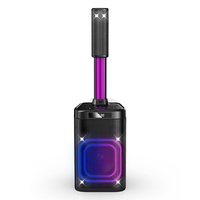 Enceinte Karaoké Portable CSN-S8YZ avec Woofer 8'', Lumières RGB, TWS, Micro Sans Fil, Grande Puissance de Pointe, pour Extérieur