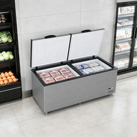 Congélateur coffre horizontal en acier inoxydable sur mesure à 2 portes, double température, avec contrôle numérique, pour crème glacée