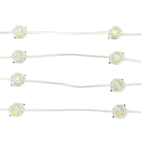 20 Pixels DC24V WS2805 RGBIC + CCT 5 Couleurs 30mm Hexagone Adressable LED Permanent Extérieur Maison Avant-toit Lumières 3Pin Blanc Fil IP68