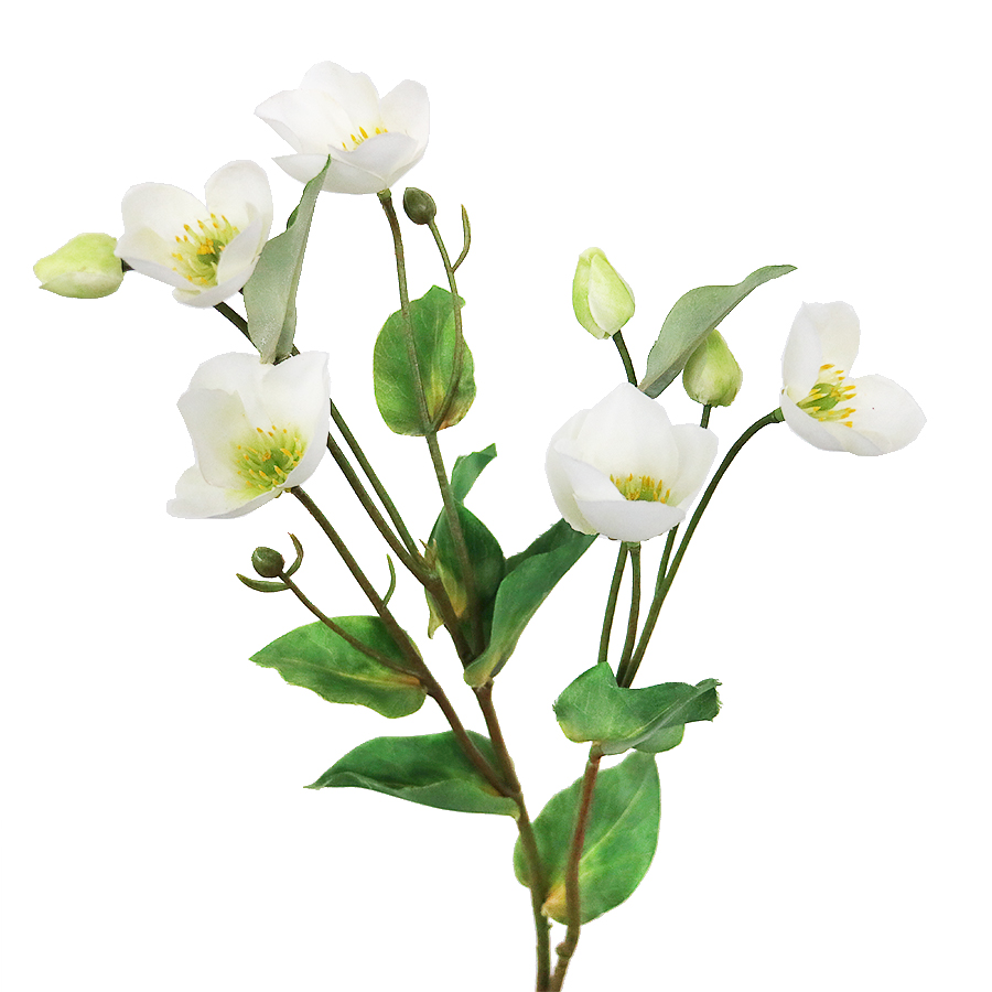Blanc